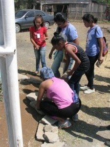 Doing some minor landscaping (2) 